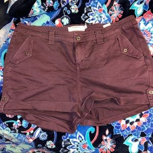 Torrid Shorts